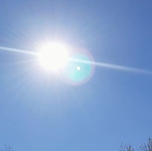 Meet your Posher, Ravesha